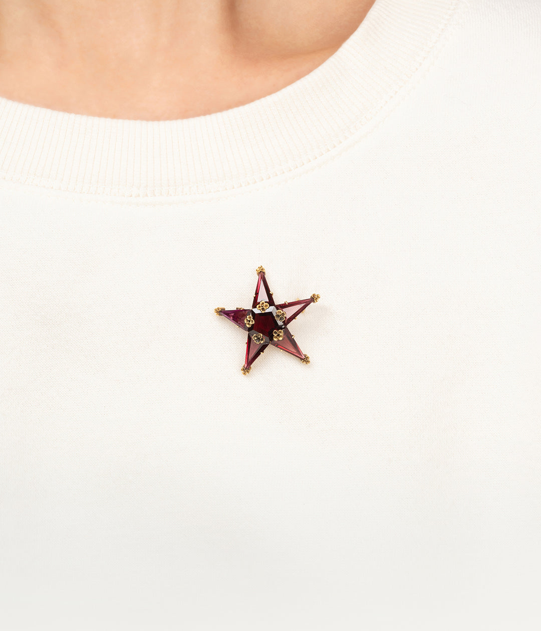 Victorian-star-shaped-garnet-brooch-Maraea-Caillou-Paris